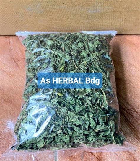 Jual Daun Kitolod Kering 150 Gram Di Lapak As HERBAL Bdg Bukalapak