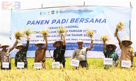 Ketahanan Pangan Kementan Kawal Petani Muda Tanah Laut Panen Raya Padi