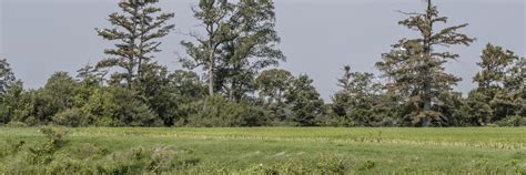 Mississippi River Basin Healthy Watersheds Initiative Arkansas Natural Resources Conservation