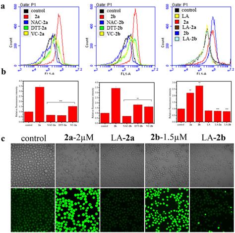 Production And Elimination Of Ros In Hl Cells Measured By Dcfh Da