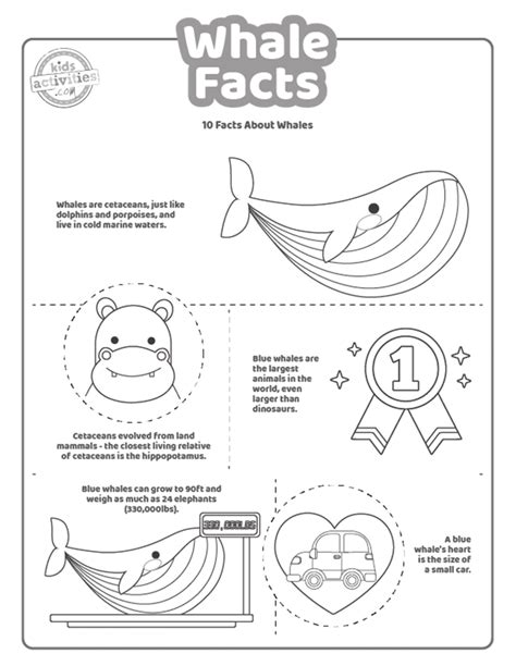 Fun Whale Facts For Kids To Print And Learn Kids Activities Blog