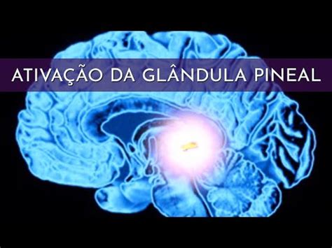 T Cnica Simples Para Ativar A Sua Gl Ndula Pineal Abre A