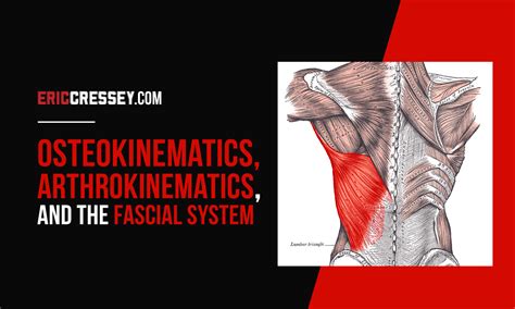 Osteokinematics Arthrokinematics And The Fascial System