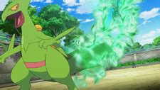 Leaf Storm (move) - Bulbapedia, the community-driven Pokémon encyclopedia