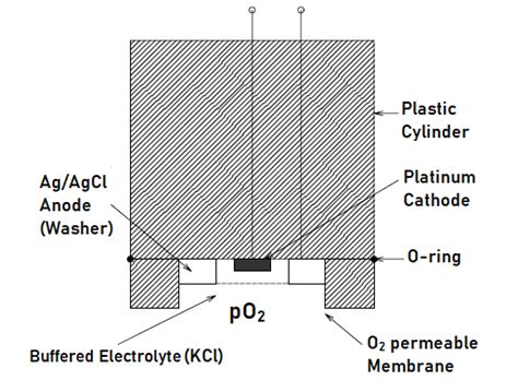 Polarographic Clark Electrodes