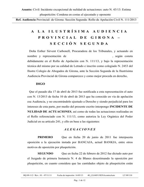 Escrito De Incidente De Nulidad De Actuaciones Interpuesto Hot Sex