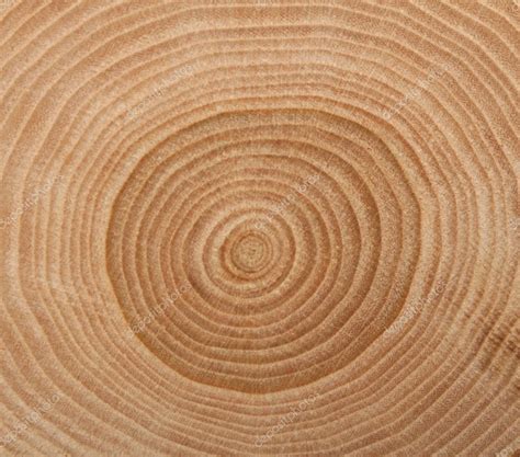 Wooden Cut Texture — Stock Photo © Masic75 1634030