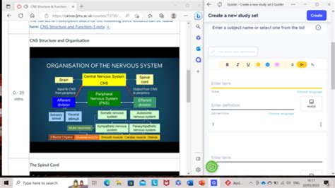 Cns Structure And Function Flashcards Quizlet