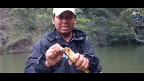 Pesca De Guapotes Con Anzuelo En La Presa De Chixoy YouTube