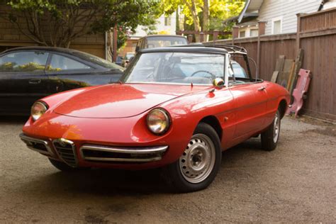 Alfa Romeo Duetto Spider L Boat Tail For Sale