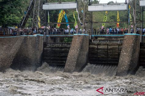 Diguyur Hujan 616 Hektare Sawah Di Pekalongan Jateng Terendam Banjir