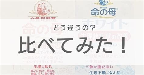 養命酒と薬の飲み合わせについて徹底解説【併用すると効果はどうなる？】 Mrtの薬ドラ