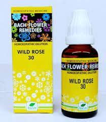 Buy NEW LIFE BACH FLOWER WILD ROSE 30 PACK OF 2 100ML Online At Low