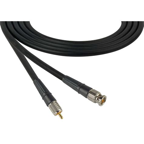 Laird Canare LV 61S RG59 BNC To RCA Video Cable 3 Foot Black