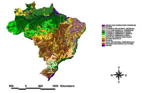 Vegetation Map Of Brazil BLOG D ANDRE