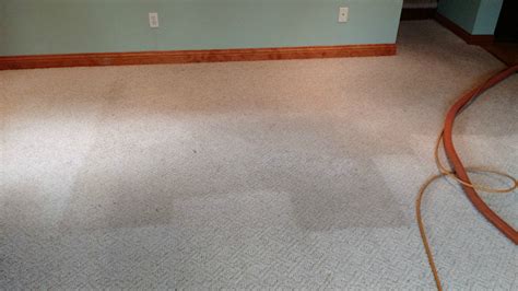 Carpet Cleaning Reviews Carpet Cleaning Prices RVR Services