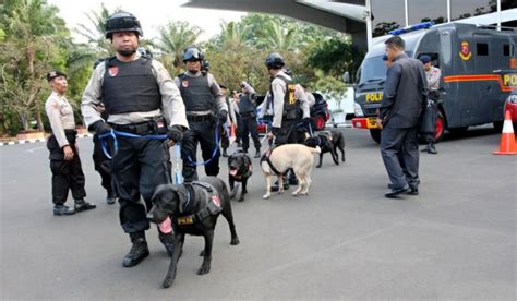 Mengatasi Warga Yang Masih Bandel Dan Keluyuran Rotan Anjing Pelacak