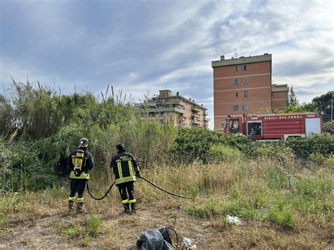 Ostia Incendio Nella Pineta Delle Acque Rosse Baraccopoli In Fiamme