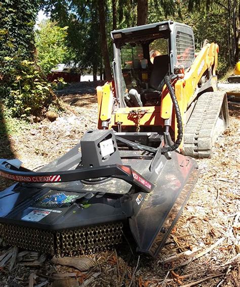 Brush Clearing Services Seattle Eastside Tree Works