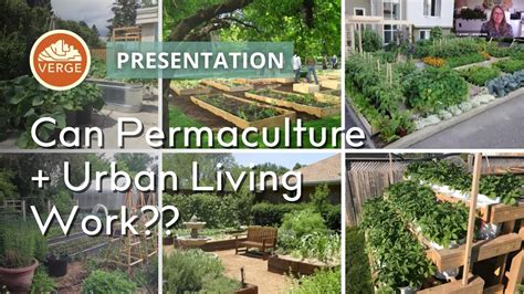 Can Permaculture Thrive In An Urban Environment Youtube