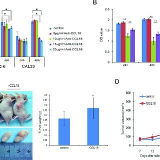 Ccl Promotes Oral Cancer Cell Growth In Vitro And In Vivo A Oscc