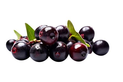 Fresh Bunch Acai Berries Isolated On Transparent Background 27143575 Png