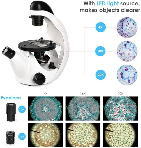 Telmu Microscopio Monocular X X