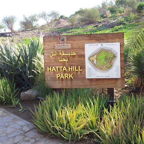 Best Things To Do In Hatta Outdoor Activities And Adventures