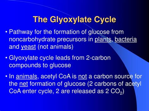 Ppt Chapter 13 The Citric Acid Cycle Powerpoint Presentation Free