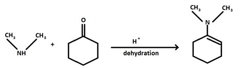 Cyclohexanone Reactions