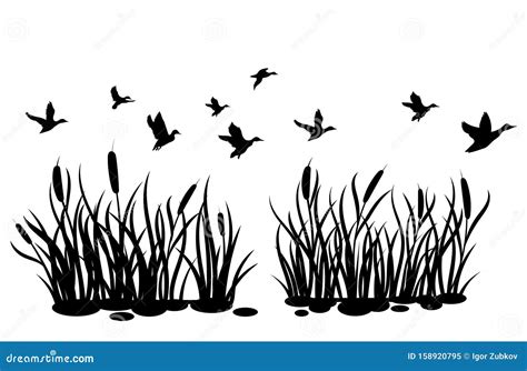 A Flock Of Wild Ducks Flying Over A Pond With Reeds Black And White