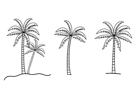 Line Art Palm Trees Coconut Tree Vector Graphic By Nurearth · Creative