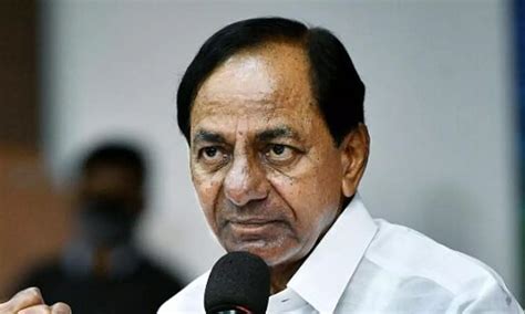 Kcr Suffers Abdominal Discomfort Tests Reveal Small Ulcer