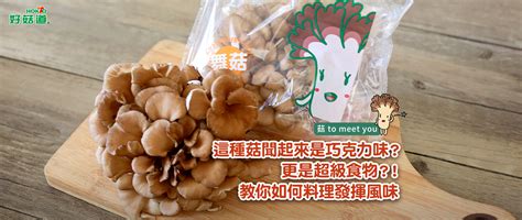 「這種菇」聞起來是巧克力味？更是超級食物？！教你如何料理發揮風味 好菇說生活