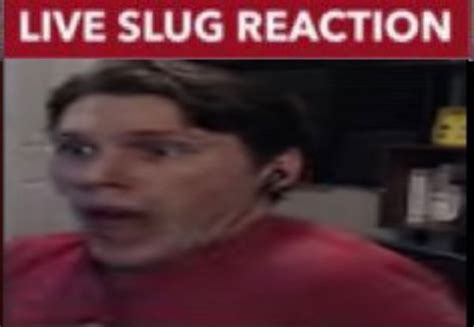 live slug reaction | I love my wife, Memes, Silly