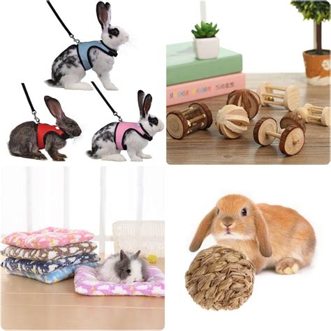 Shop Bunny Supply Co For The Best Pet Rabbit Supplies And Products 🐰🐾