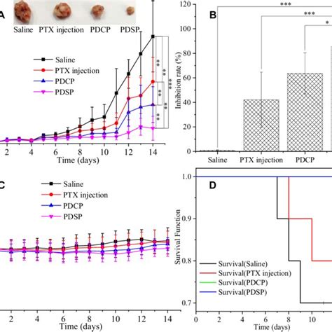 The Results Of In Vivo Anti Tumor Activity Of The Different Paclitaxel