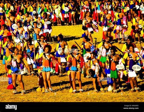 Reed dance swazi hi-res stock photography and images - Alamy