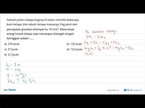 Sebuah Pohon Kelapa Tinginya Meter Memiliki Beberapa Butir Kelapa