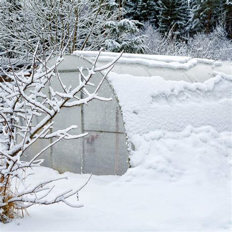 Winter Gardening Ideas and Tips - An Off Grid Life