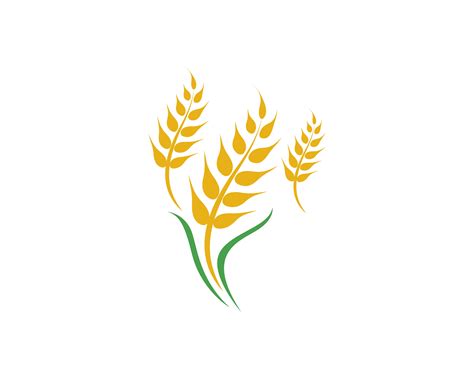 Agriculture wheat vector 586128 Vector Art at Vecteezy