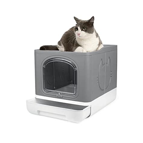 Top 10 Best Covered Litter Box Reviews And Comparison Glory Cycles