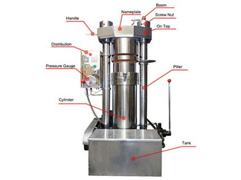 Cutting Edge Olive Oil Cold Press Machine With High Efficiency And Purity