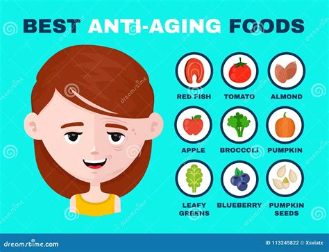 Best Anti-aging Foods Infographics Vector Stock Vector - Illustration ...