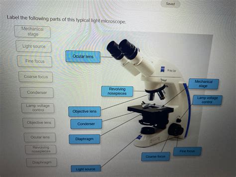 Compound Light Microscope Parts Labeled | Shelly Lighting