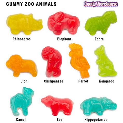 Gummy Zoo Animals Assortment 5lb Bag Zoo Animals Wild Kratts