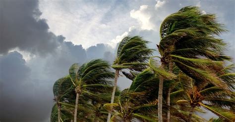 Norma toca tierra otra vez en el noroeste de México como depresión