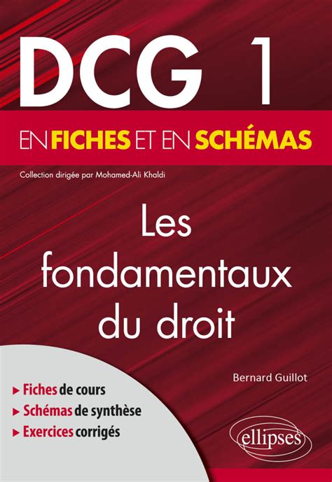 DCG 1 Les fondamentaux du droit en fiches et en schémas