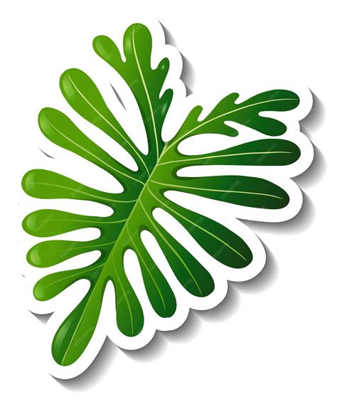 Tropical Leaf Template