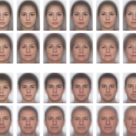 Averages of the individual face images used in the age estimation ...